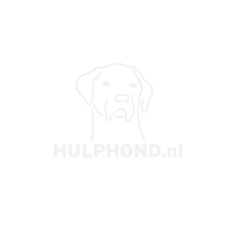 Merkstrategie, merkidentiteit huisstijl en webdesign voor Stichting Hulphond door branding studio De Design Club in Delft, Zuid-Holland.